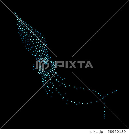 ホタルイカ 68960189