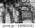 つたに絡んだ　古びたポスト(モノトーンver) 68960281