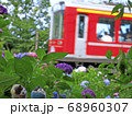 紫陽花と登山鉄道 68960307