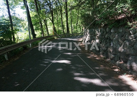 木漏れ日の中、羊山公園散歩 68960550