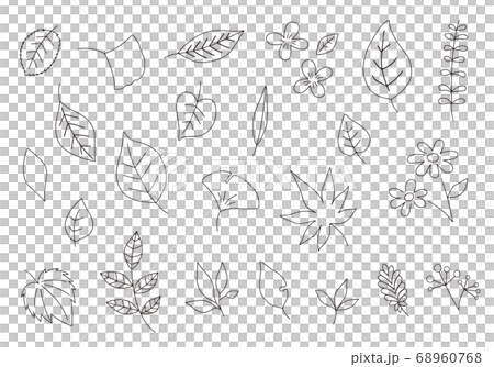 Line drawing illustration of various leaves Line drawing illustration of various leaves 68960768