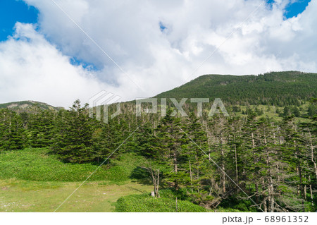 北八ヶ岳ロープウェイ山頂駅付近(北八ヶ岳) 北八ヶ岳ロープウェイ山頂駅付近(北八ヶ岳) 68961352
