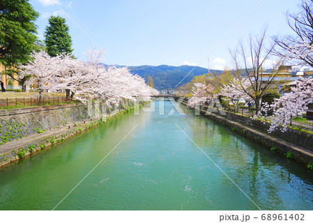 岡崎疏水、左京区、京都市、京都府、日本 岡崎疏水、左京区、京都市、京都府、日本 68961402