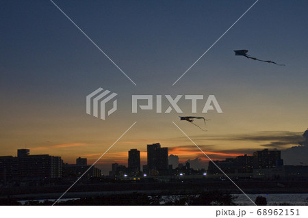 夕方の河川敷で上がるカイトの影 凧の写真素材