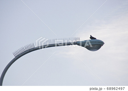 ハトよけの付いた街灯と鳥 68962497