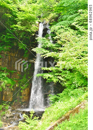 新緑の木々の中の小野の滝 68962965