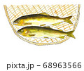アユ 68963566