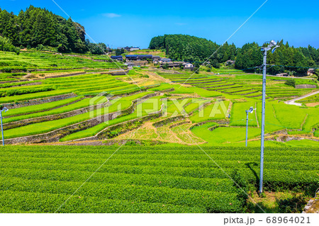 新緑の鬼木棚田　【長崎県東彼杵郡波佐見町】 68964021