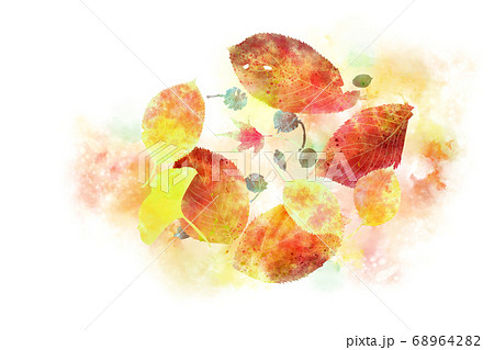 秋の落ち葉の手描き水彩イラストのイラスト素材 6642