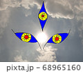 太陽の瞳 68965160