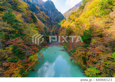 高瀬渓谷　大町ダムの紅葉　【長野県】 68966523
