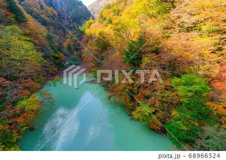 高瀬渓谷 大町ダムの紅葉 【長野県】 高瀬渓谷 大町ダムの紅葉 【長野県】 68966524