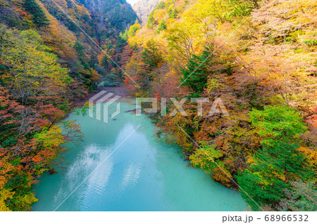 高瀬渓谷　大町ダムの紅葉　【長野県】 68966532