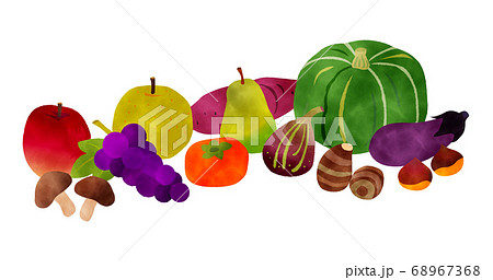 Fruits Watercolor Vector 秋の果物野菜セット水彩 のイラスト素材