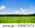 公園 68967474