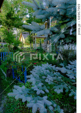 富良野麓郷にて 富良野麓郷にて 68967969