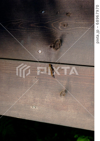 富良野麓郷にて 富良野麓郷にて 68967970