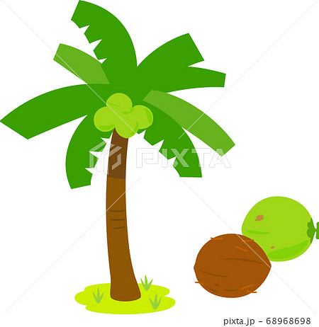 ココヤシの木とヤシの実のイラスト素材