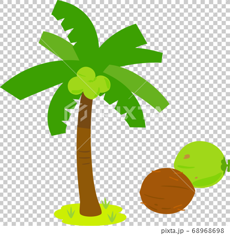 椰子樹和棕櫚果 68968698