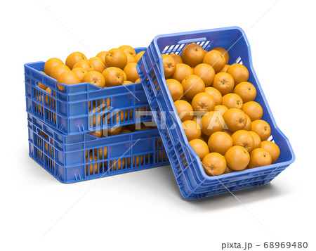 Orange fruit in plastic fruit crates isolated on Orange fruit in plastic fruit crates isolated on 68969480