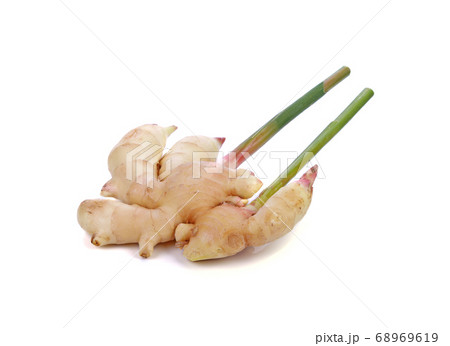 Greater galangal isolated on the white background Greater galangal isolated on the white background 68969619