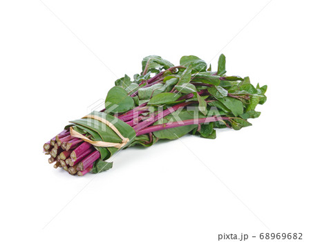 Ceylon spinach or Malabar spinach isolated on 68969682