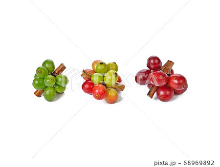 coffee beans isolated on white coffee beans isolated on white 68969892