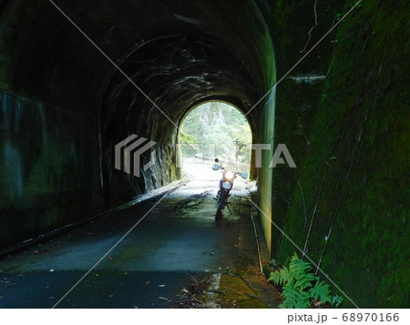 とある林道途中、緑の綺麗さに癒される。バイクは鈴木ジェベル200 とある林道途中、緑の綺麗さに癒される。バイクは鈴木ジェベル200 68970166
