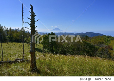 多摩川源流のみちの笠取山への稜線からの富士山 多摩川源流のみちの笠取山への稜線からの富士山 68971928