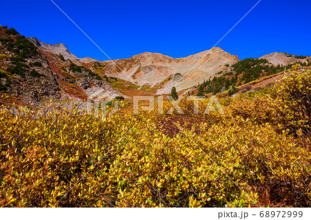 Autumn in Colorado 68972999