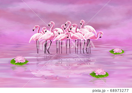 Pink flamingos on a pink lake with water lilies 68973277