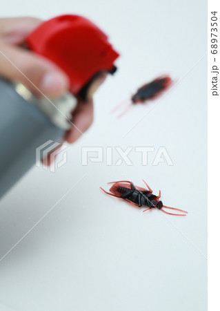 キッチンに現れたゴキブリを殺虫剤で撃退する主婦 68973504