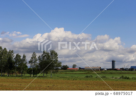 北海道 十勝地方 牧場のある風景 北海道 十勝地方 牧場のある風景 68975017
