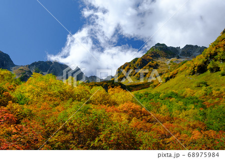 涸沢の紅葉 涸沢の紅葉 68975984