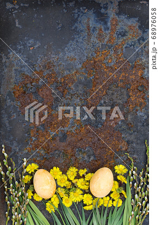 Easter Eggs flower of  coltsfoot and branch with  68976058