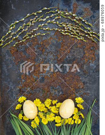 Easter Eggs, flower of  coltsfoot and branch with  68976059