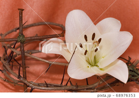 Crown of Thorns, crucifix and Easter white Lily 68976353
