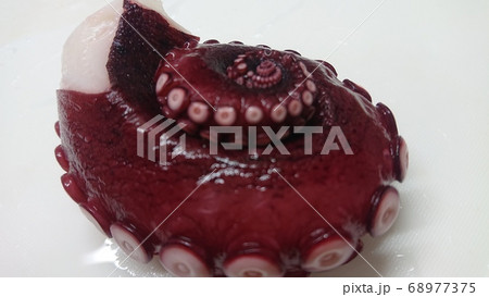 つやつやきれいなタコの足 つやつやきれいなタコの足 68977375