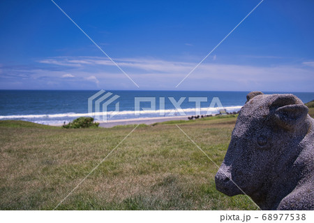 鹿島灘海浜公園の牛　CMで有名 68977538
