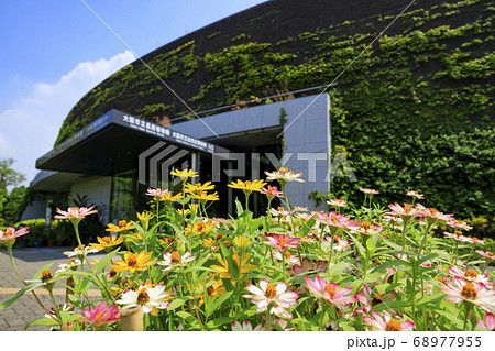 長居植物園　夏の草花 68977955
