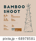 Nutririon fact of bamboo shoot, hand draw sketch 68978581