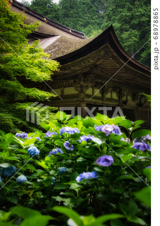 滋賀県 金剛輪寺 緑の世界 滋賀県 金剛輪寺 緑の世界 68978865