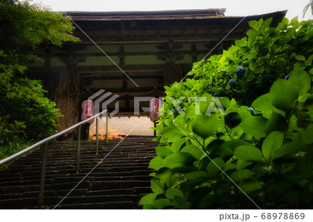 滋賀県 金剛輪寺 緑の世界 滋賀県 金剛輪寺 緑の世界 68978869