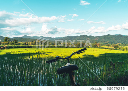 Views of rice fields, rice fields and mountains 68979256
