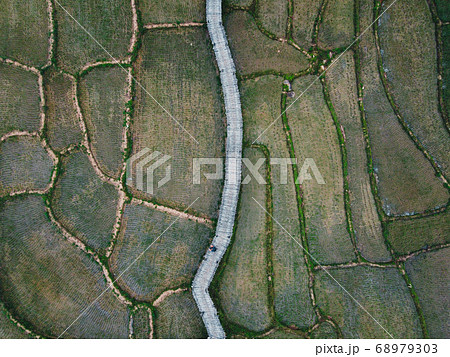 Views of rice fields, rice fields and mountains 68979303