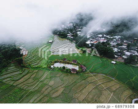 Views of rice fields, rice fields and mountains Views of rice fields, rice fields and mountains 68979308