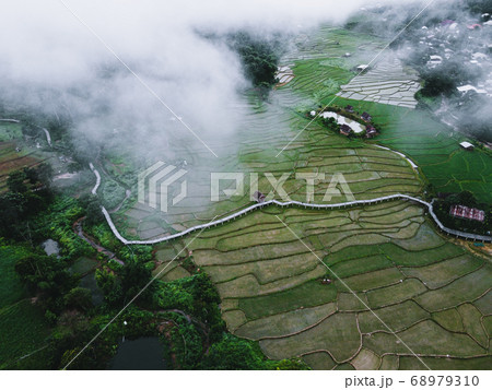 Views of rice fields, rice fields and mountains Views of rice fields, rice fields and mountains 68979310