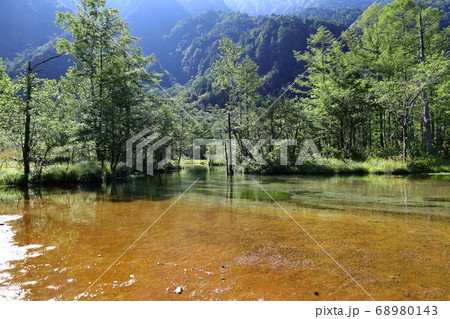 夏の長野県上高地～田代池 68980143