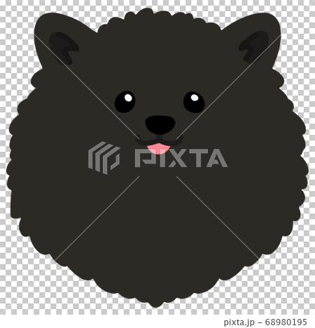 沒有主線的黑色博美犬的正面插圖 68980195