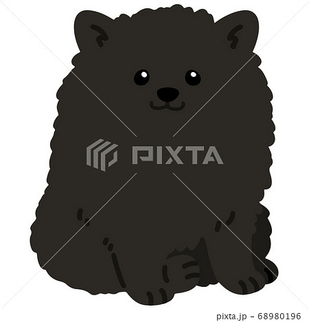 お座りする黒いポメラニアンのイラスト 主線なしのイラスト素材